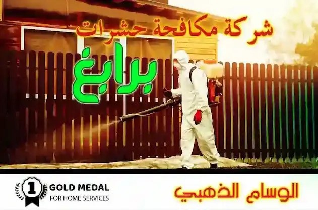 شركة مكافحة حشرات برابغ